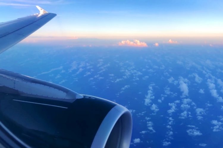 Frontier Airlines ответит в суде за бездействие по отношению к насильнику на борту