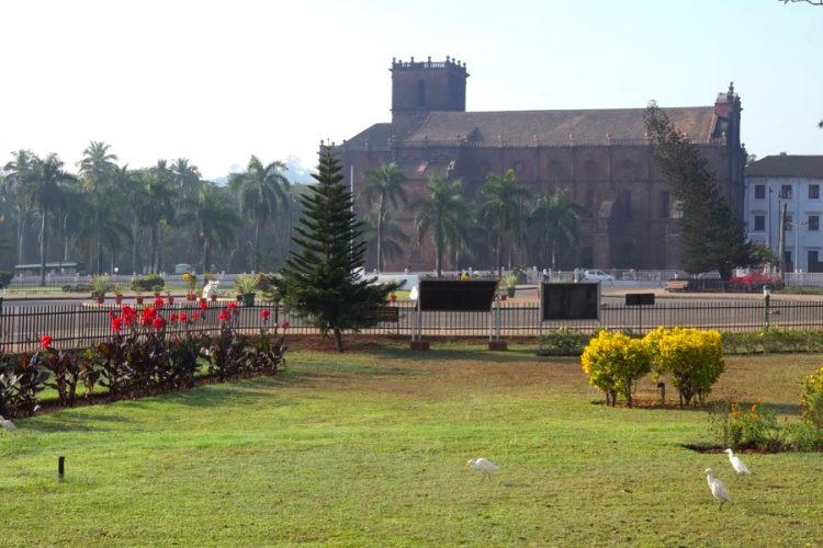 Турпоток в Гоа может снижаться из-за лука