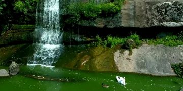 Поисковик создал рейтинг национальных парков Европы