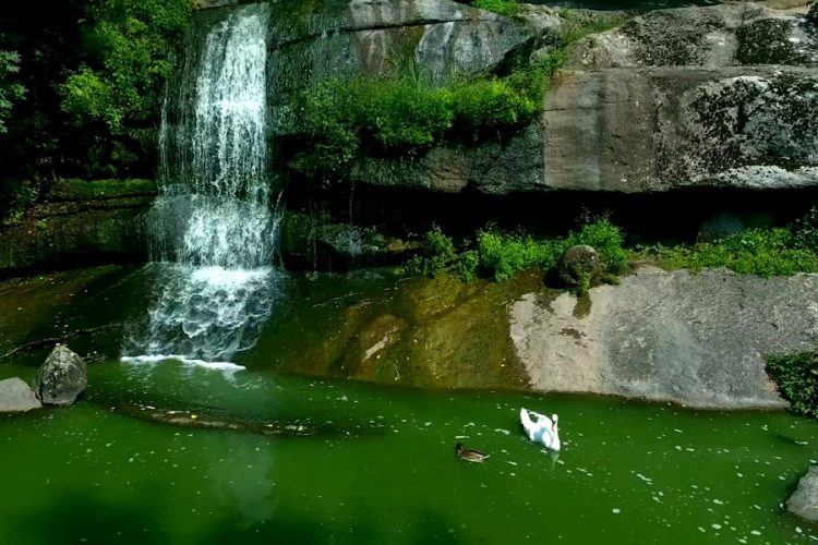 Поисковик создал рейтинг национальных парков Европы