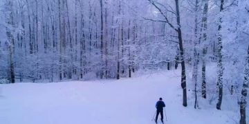 Лыжники все чаще травмируются из-за употребления алкоголя