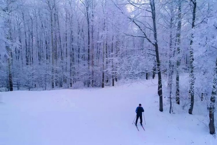 Лыжники все чаще травмируются из-за употребления алкоголя