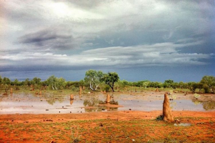 новость 18-01-2020 Проливные дожди обрушились на охваченную пожарами Австралию