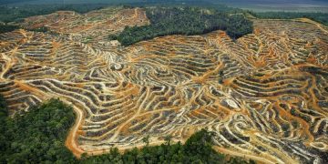 новость 28-01-2020 Экологические риски угрожают туризму Бразилии