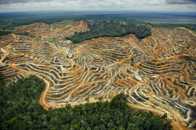 новость 28-01-2020 Экологические риски угрожают туризму Бразилии