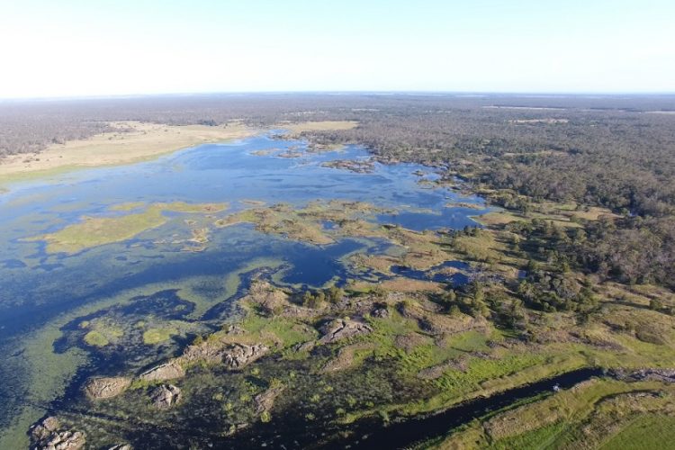 новость 23-01-2020 Водные каналы, которым более тысячи лет, обнаружили в Австралии