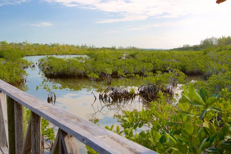 новость 24-01-2020 Национальный парк Лукаян открылся после ремонта