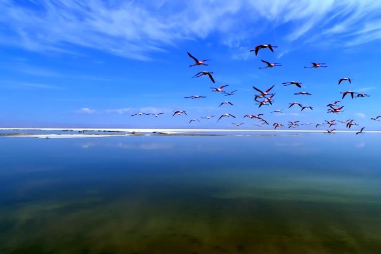 Россияне не отреагировали на ситуацию в Иране