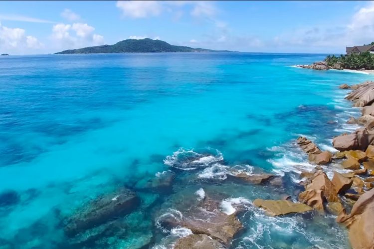 На Сейшельских островах акула атаковала туристку