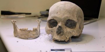 В Стамбуле нашли 1000-летний череп и кости африканского человека
