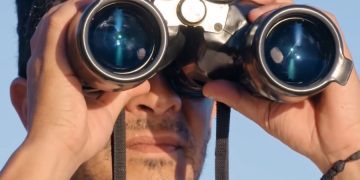 В Японии может исчезнуть индустрия наблюдения за китами
