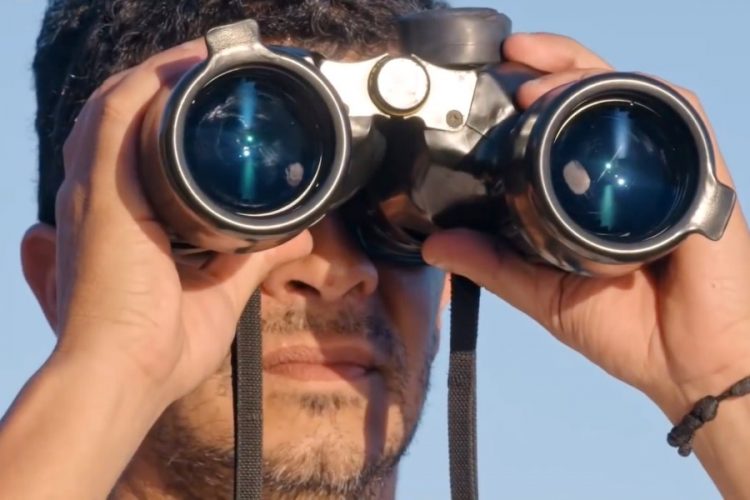 В Японии может исчезнуть индустрия наблюдения за китами