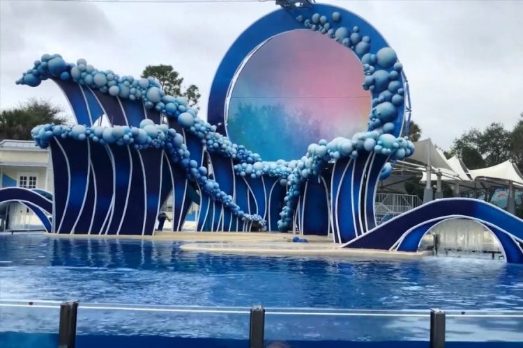 Защитники животных атакуют офисы TUI