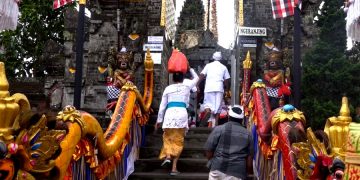 Туристы привезли в сумке скорпиона из Бали