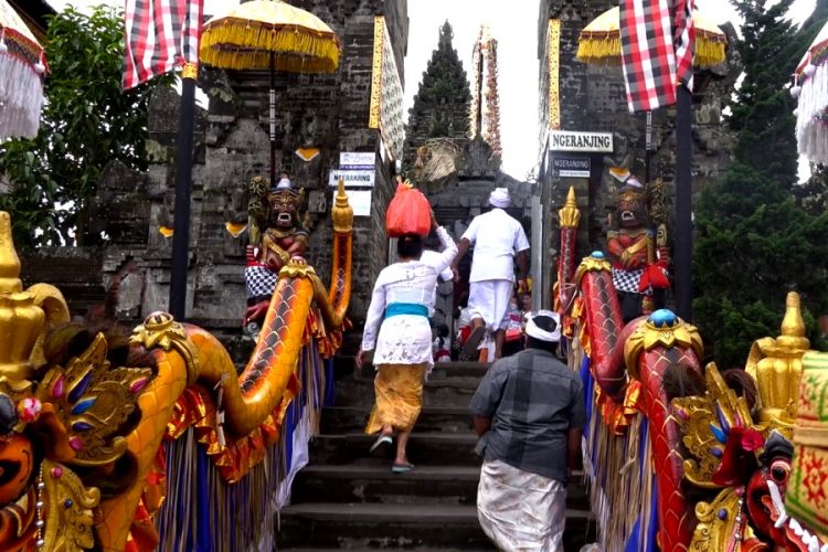 Туристы привезли в сумке скорпиона из Бали