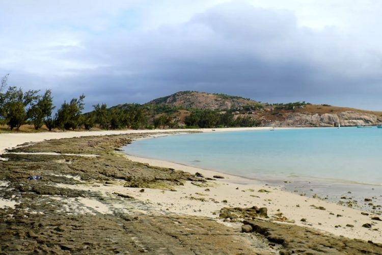 Австралия будет 100 лет восстанавливаться после пожаров