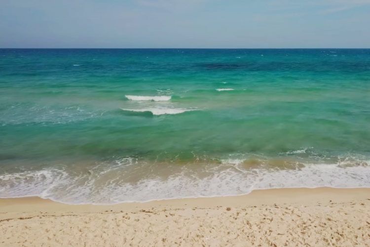 Coral Travel снимает полетную программу в Тунис