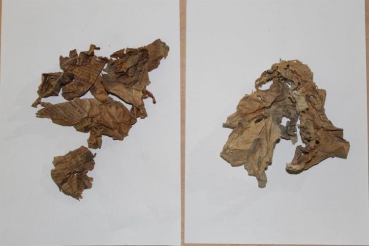 В стенах дворца Долмабахче обнаружили фрагменты газет 1917 года