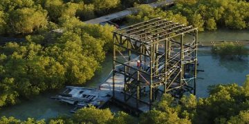 В Абу-Даби для туристов открыли мангровый лес