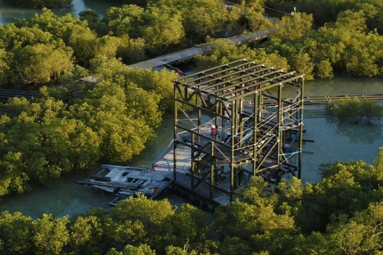 В Абу-Даби для туристов открыли мангровый лес