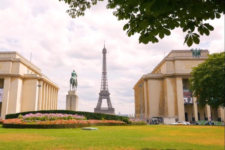 Отели Парижа кишат клопами