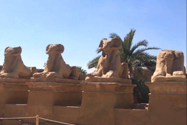 В Луксор можно будет добраться на самолете из Шарм-эль-Шейха и Хургады