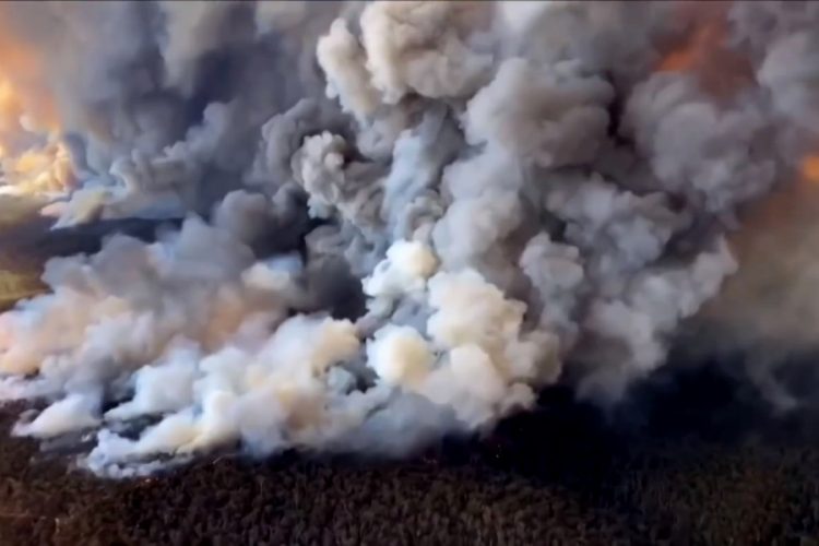 От пожаров в Австралии пострадали города, которые находятся за сотни километров