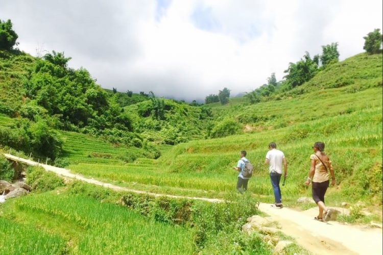 Туробъекты Вьетнама заработали рекордные суммы