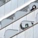 Круизные компании испугались ситуации с Diamond Princess