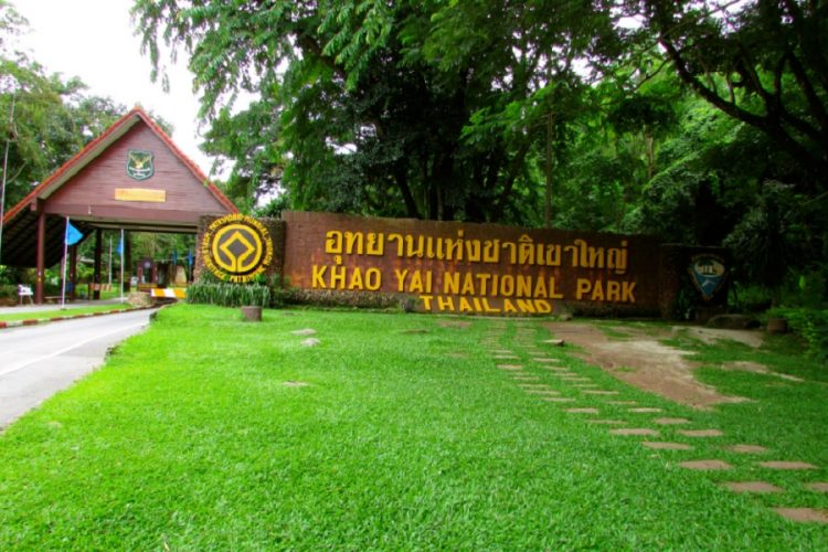 новость 07-02-2020 InterContinental откроет курорт в национальном парке Кхао Яй