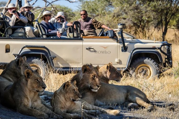 новость 19-02-2020 Приключенческий туризм один из ключевых трендов в январе