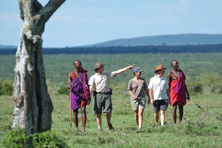 новость 29-02-2020 Сектор туризма Кении в неопределенном состоянии из-за COVID-19