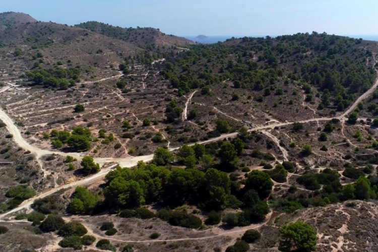 ЮНВТО и ВОЗ не рекомендуют ограничивать въезд в разные страны