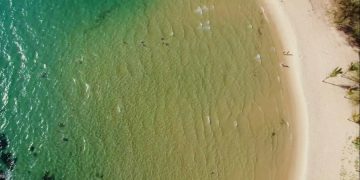 Журнал Forbes приглашает туристов на Остров Китов (Вьетнам)