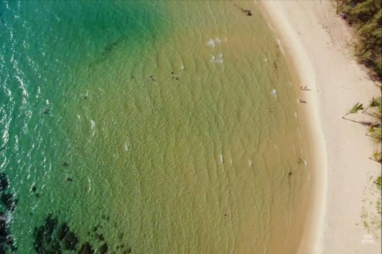 Журнал Forbes приглашает туристов на Остров Китов (Вьетнам)