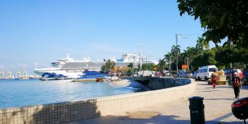 Страховщики будут лечить российских пассажиров Diamond Princess
