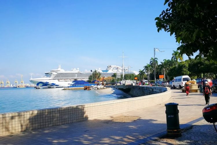 Страховщики будут лечить российских пассажиров Diamond Princess