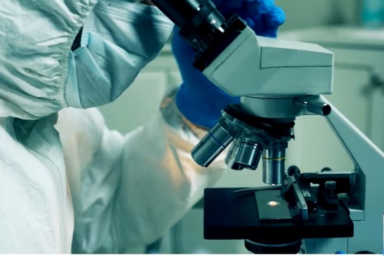 К чему должны быть готовы круизные туристы в связи с коронавирусом?