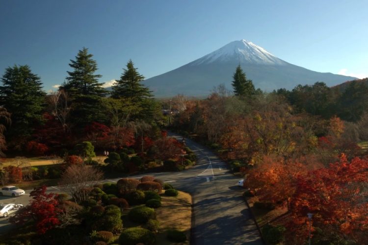 Российские туристы покупают весенние туры в Японию