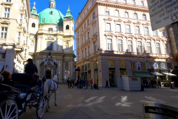 Вена будет бесплатно пускать в музеи тех, кто пользуется общественным транспортом
