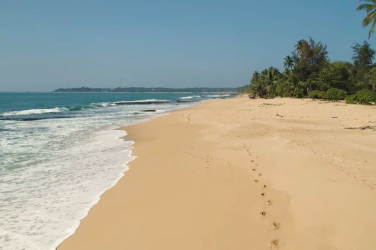 Официально: виза на Шри-Ланку и дальше будет бесплатной