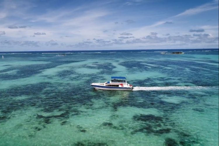 Программа туроператоров по Доминикане расширилась