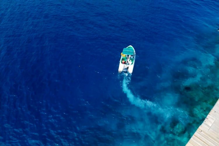 Туры на Мальдивы стали выгодными