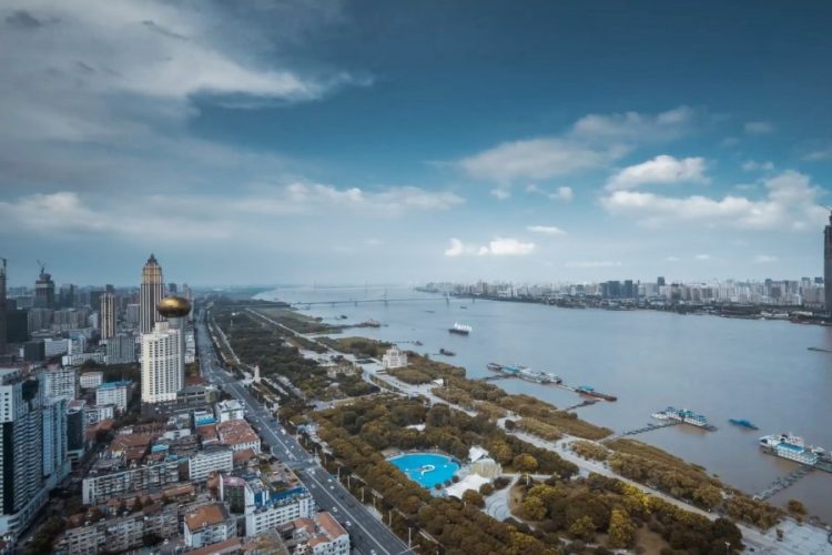 Китайцы под страхом коронавируса начали травить животных