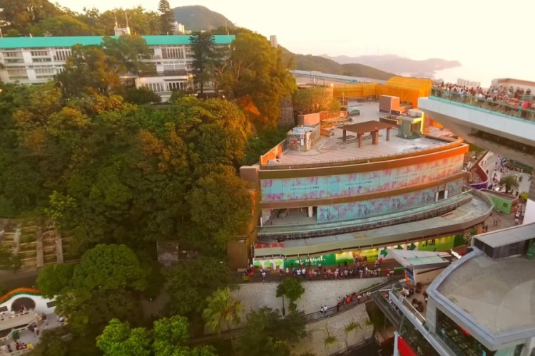 В минувший понедельник офисы и магазины Китая начали открываться