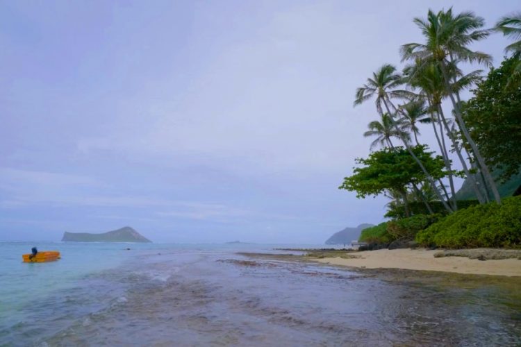 Штат Гавайи просит американцев не приезжать на отдых