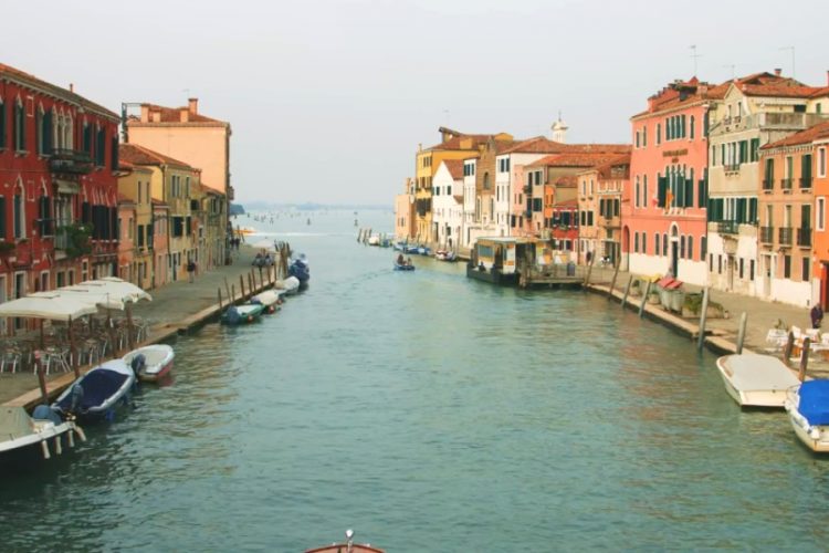 В каналах Венеции снова появилась рыба, скоро можно будет даже купаться