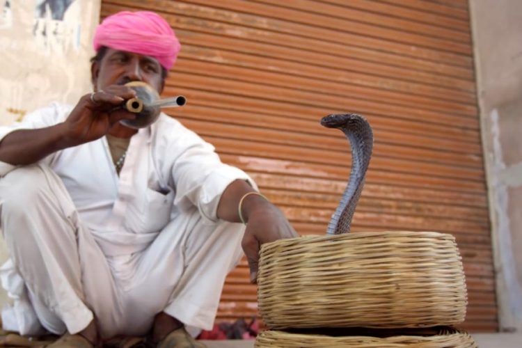 Индия отменила действие виз, отдых нужно аннулировать