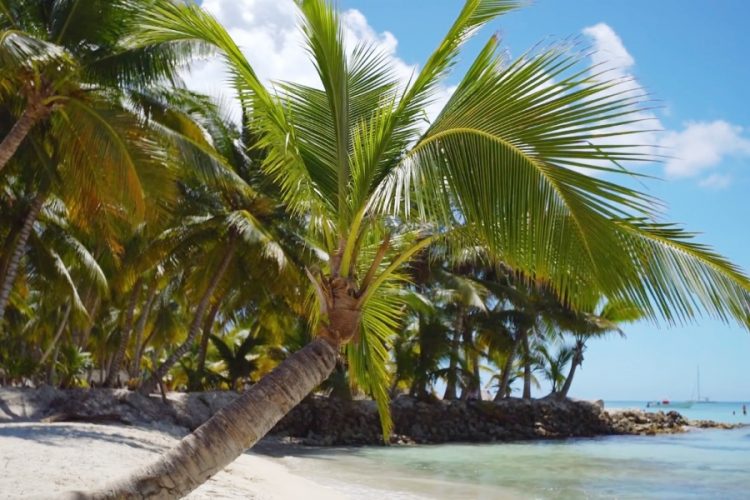 AZUR air вывозит россиян из Филиппин