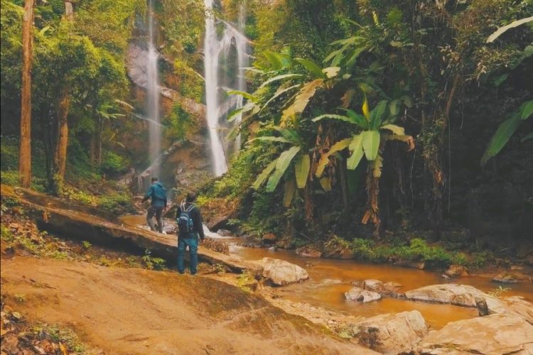 Страховая компания ERV разработала "коронавирусный" полис